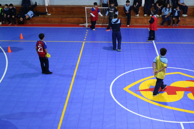 Día de la Actividad Física